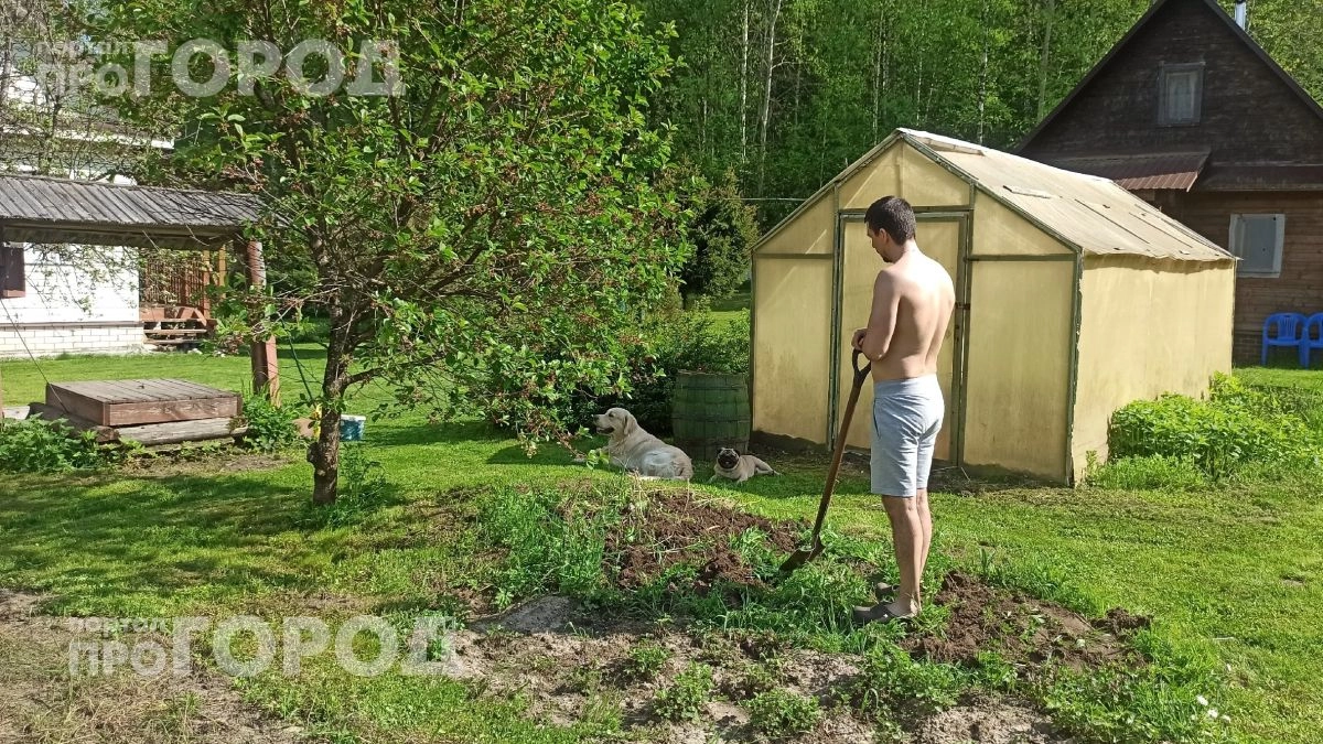 Проведите пятиминутный тест с простым полотенцем на даче: так вы моментально вычислите скрытых клещей