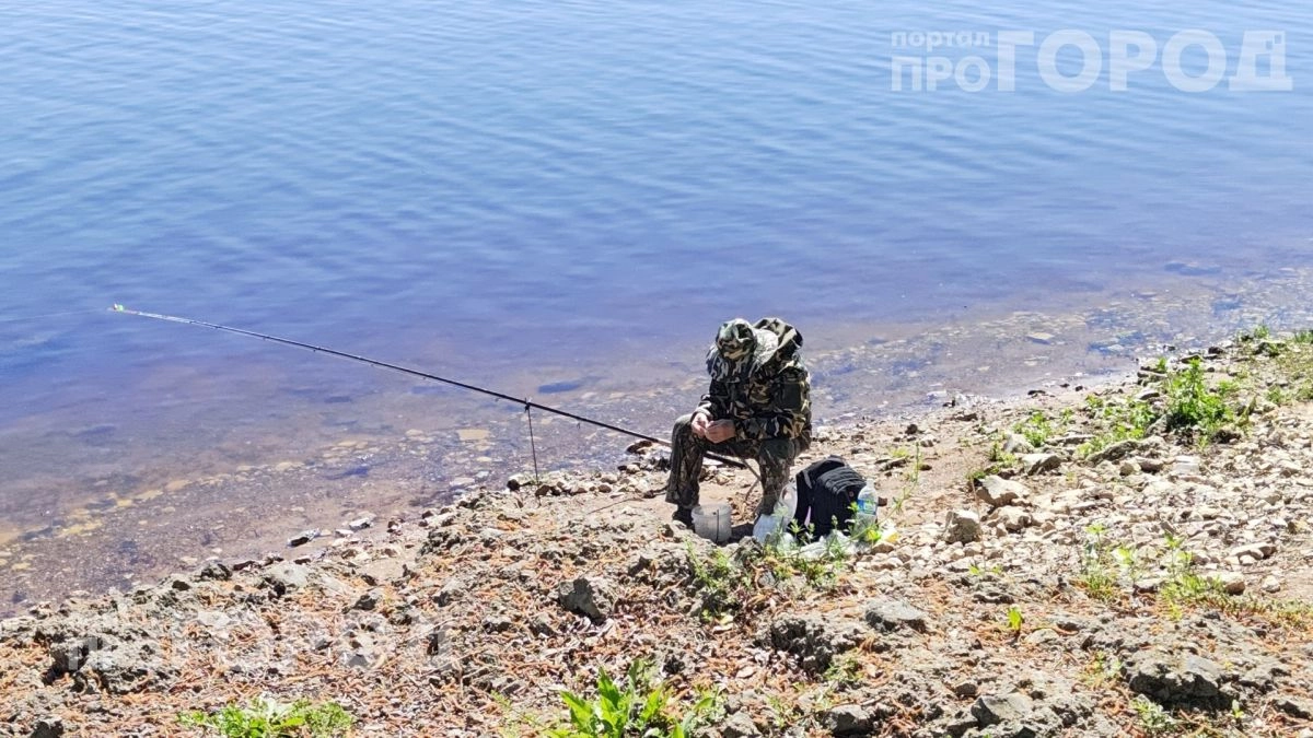 Комары больше не приблизятся: копеечная смесь из домашней аптечки работает лучше любого дорогого спрея
