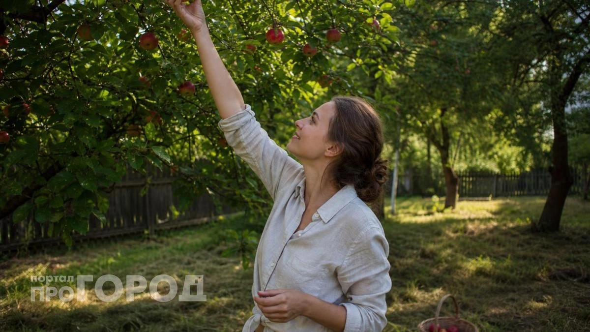 Больше никакой червоточины в урожае: просто закрепила эту копеечную вещь на ветках и забыла о вредителях