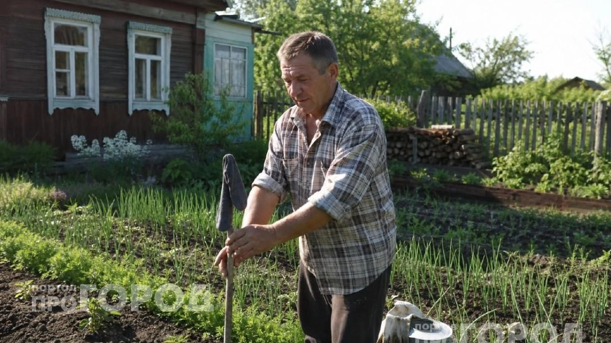 Забудьте про укусы на даче: мой метод с обычным носком отпугивает всех комаров и мошек за считанные минуты