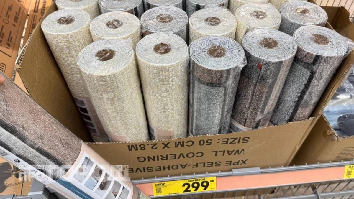 Забудьте про шпатель и клей: в Чижике нашлись панели для стен, которые преобразят интерьер за пару часов