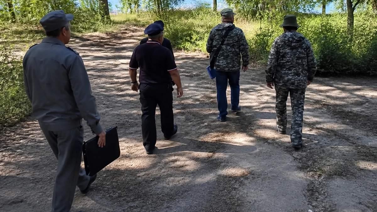 В Высоковском бору машины туристов эвакуируют за отдых на охраняемой территории