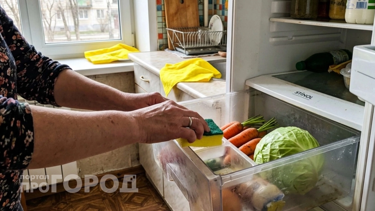 Вы годами совершаете эту ошибку: почему холодильник губит ваши овощи и как сохранить их свежими надолго