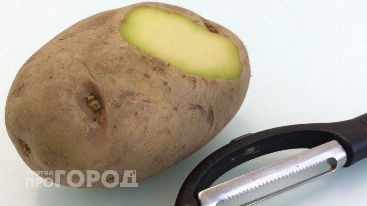 Выбрасывать жалко или есть опасно: узнайте правду о зеленом картофеле и сохраните здоровье своей семьи