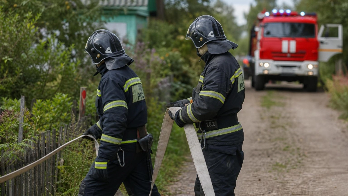 В СНТ Рыбинска огонь уничтожил две хозпостройки и повредил теплицу