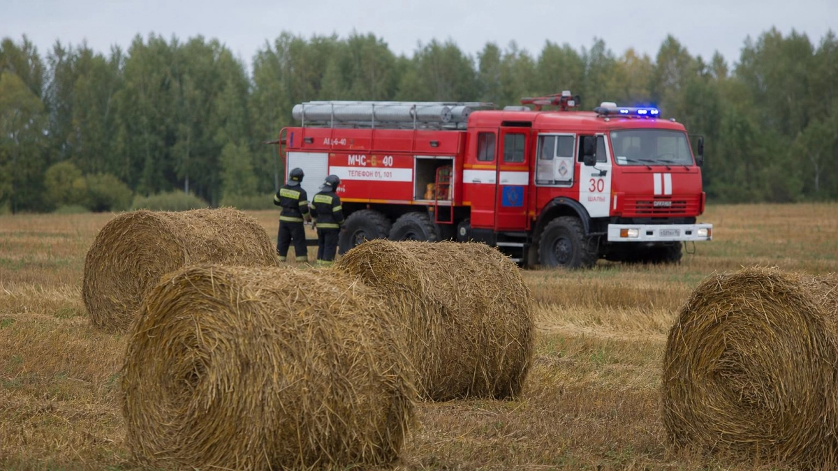 Под Рыбинском пожар уничтожил 13 рулонов сена в деревне Большой Дор