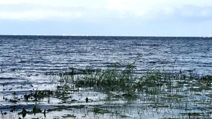 «Шексна-Водоканал» два месяца сливала стоки в водохранилище: ущерб 13,4 млн рублей